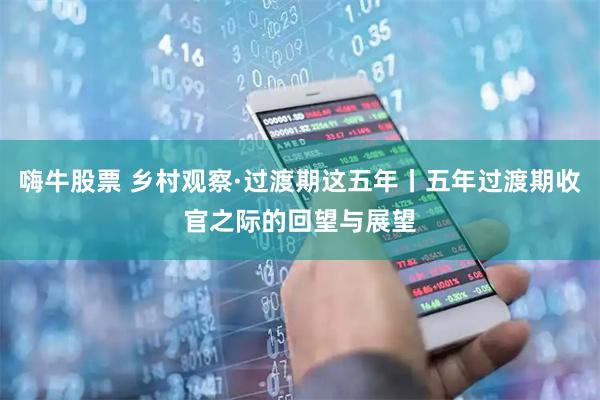 嗨牛股票 乡村观察·过渡期这五年丨五年过渡期收官之际的回望与展望