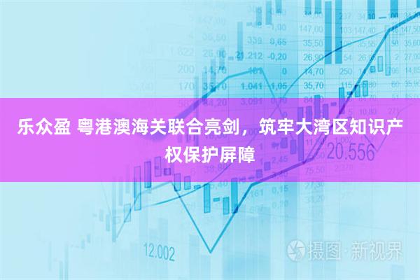 乐众盈 粤港澳海关联合亮剑，筑牢大湾区知识产权保护屏障