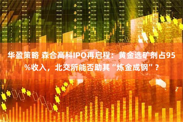 华盈策略 森合高科IPO再启程：黄金选矿剂占95%收入，北交所能否助其“炼金成钢”？