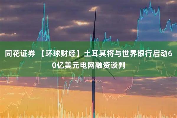 同花证券 【环球财经】土耳其将与世界银行启动60亿美元电网融资谈判