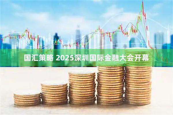 国汇策略 2025深圳国际金融大会开幕