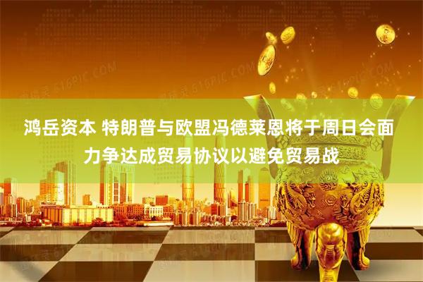 鸿岳资本 特朗普与欧盟冯德莱恩将于周日会面 力争达成贸易协议以避免贸易战